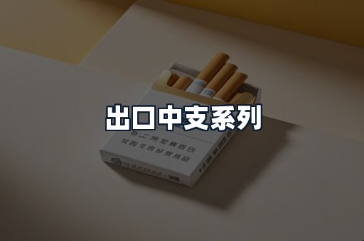出口中支系列